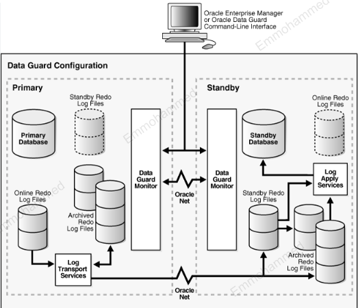 Disaster Recovery: Standby Database 19c using (ASM, RAC & Dataguard) – Arabic